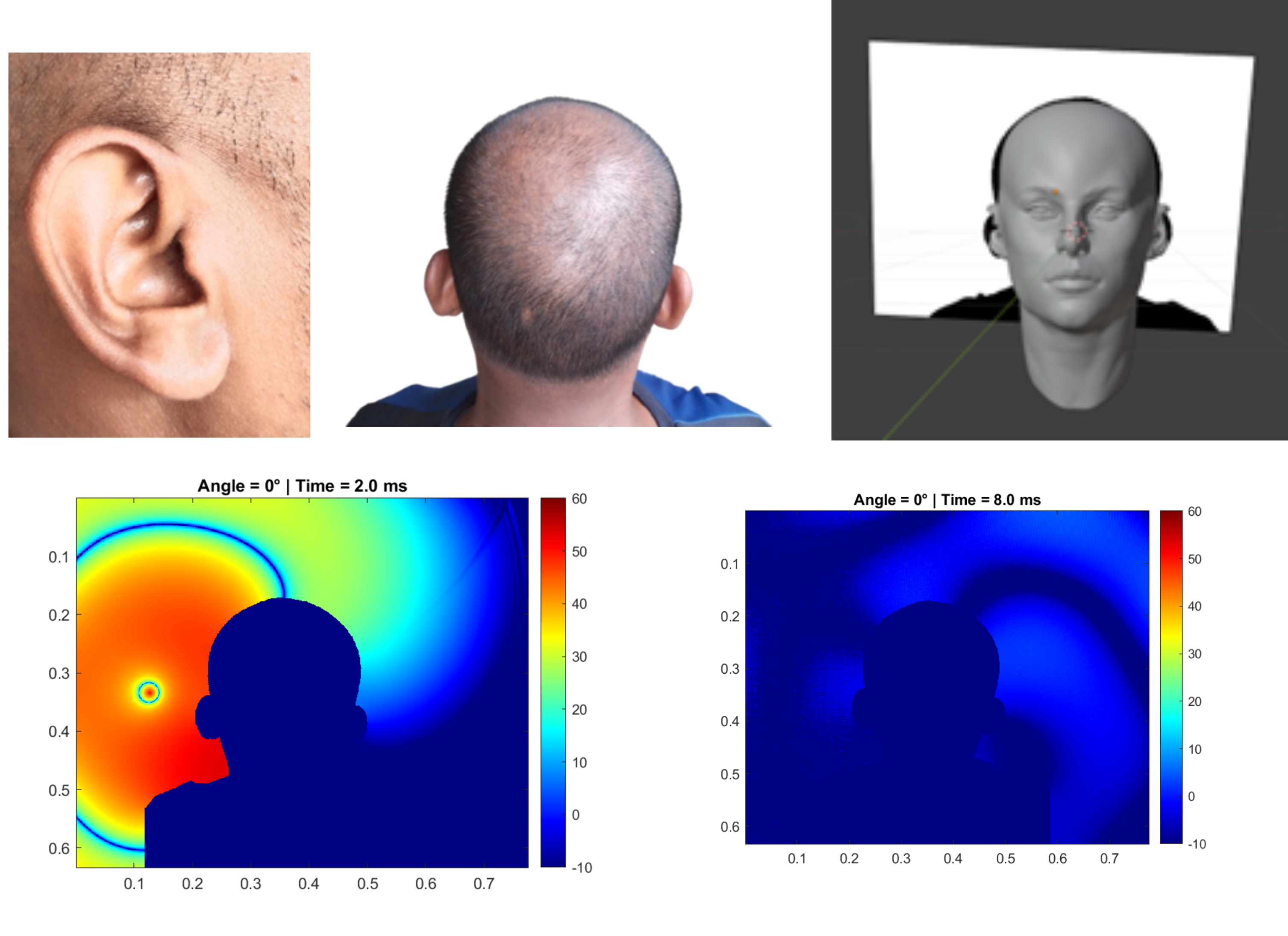 3D voxel head model used for HRTF simulation